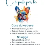C E Posto Per Te Petfriendly 카라라