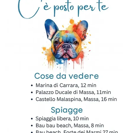 C E Posto Per Te Petfriendly カッラーラ