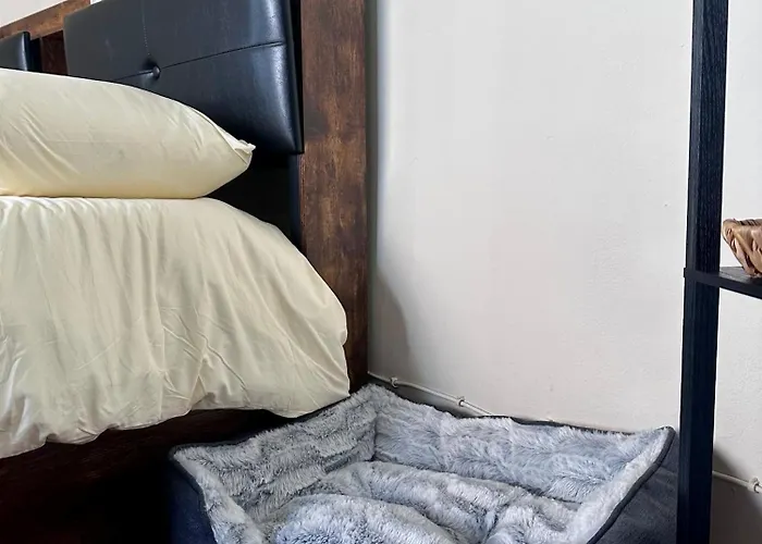 C E Posto Per Te Petfriendly *