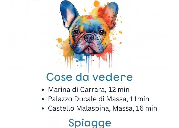 C E Posto Per Te Petfriendly Carrara