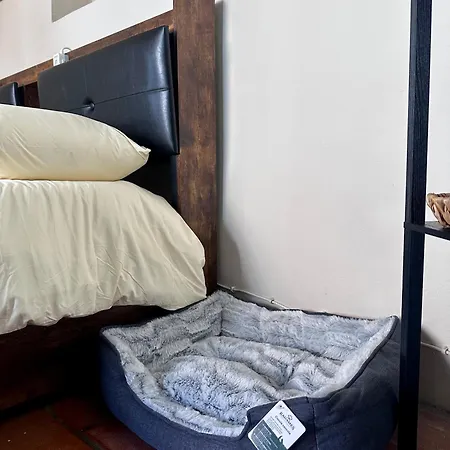 C E Posto Per Te Petfriendly *