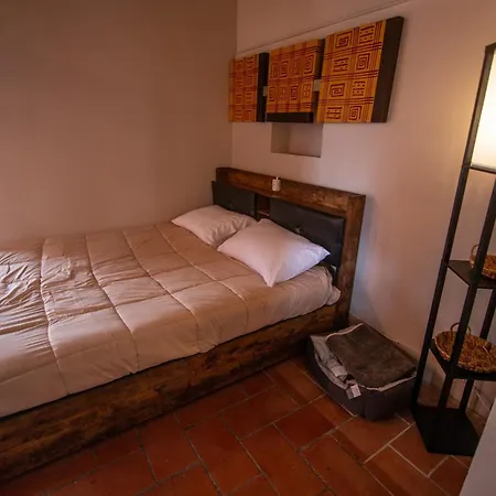 C E Posto Per Te Petfriendly Carrara