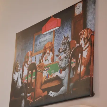 C è Posto Per Te Petfriendly