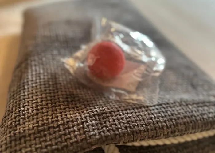 아파트 C E Posto Per Te Petfriendly 카라라